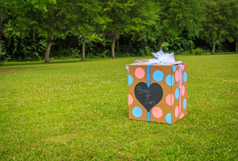 Who's Liable for Injuries Sustained at a Family Gender Reveal Party?