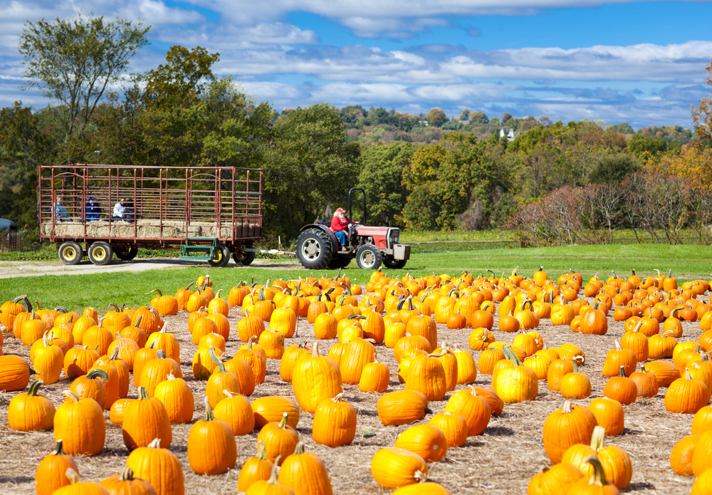 Liability for Autumn Hayride Accidents